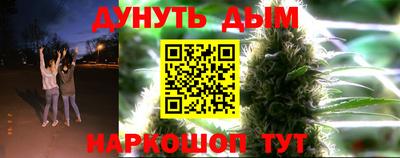 дживик Гай