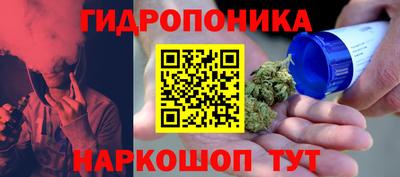 дживик Гай