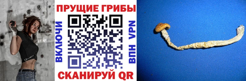 mega рабочий сайт  сколько стоит  Жуковский  Галлюциногенные грибы прущие грибы 
