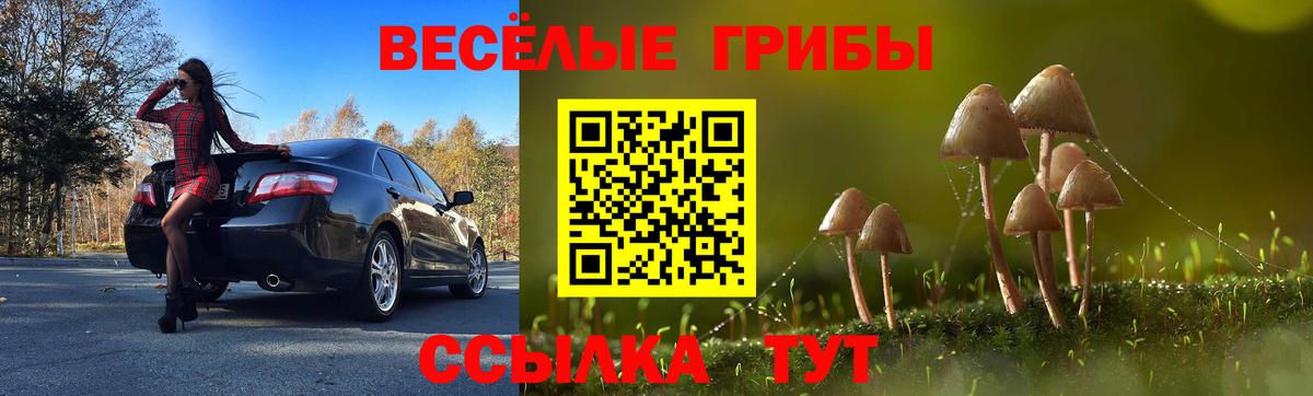 Галлюциногенные грибы ЛСД Жуковский
